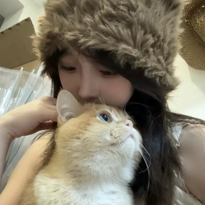 大宋少年志